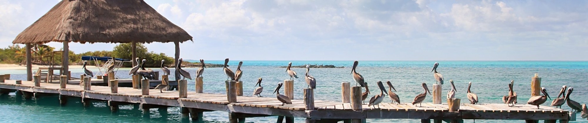 Ile de Contoy, Yucatan, Mexique