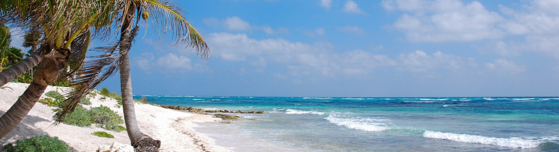 Akumal, paradis des Caraïbes, entre sable blanc, palmiers et mer turquoise, Mexique