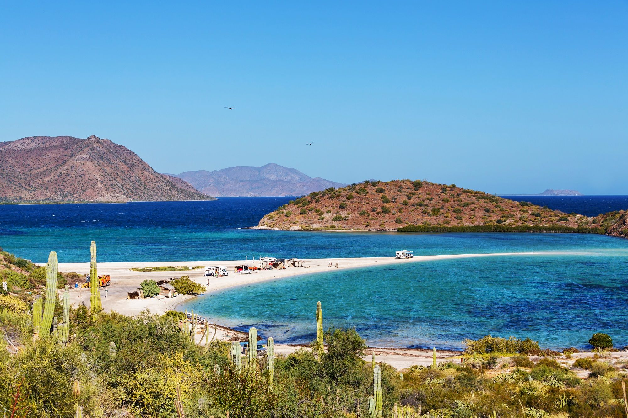 Paysages de Basse Californie : mer limpide, sable blanc et cactus