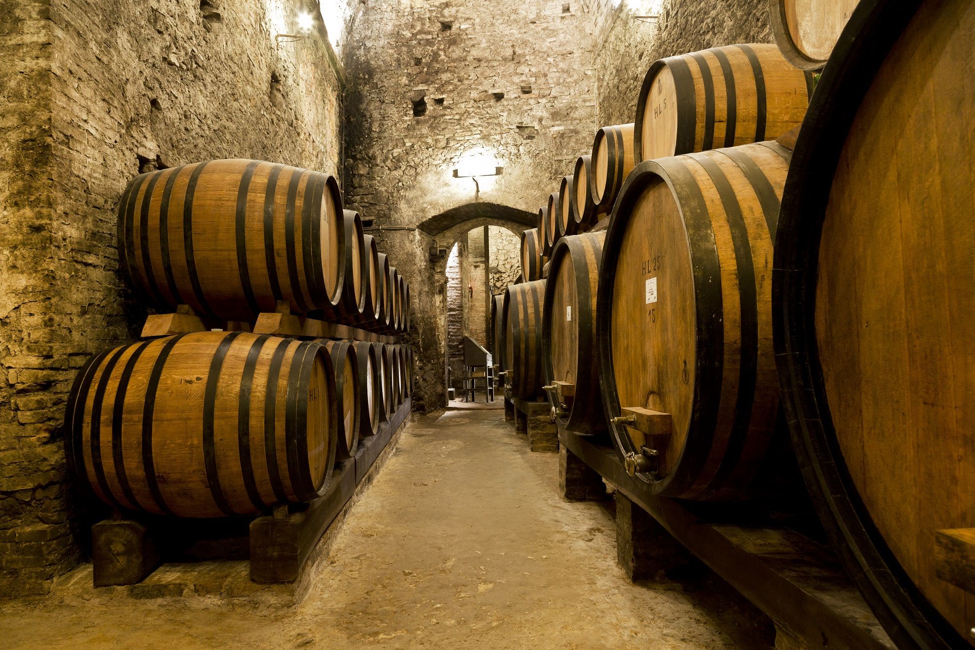 Cave de vin mexicain, Mexique