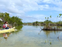 Kayak à Tulum, Mexique