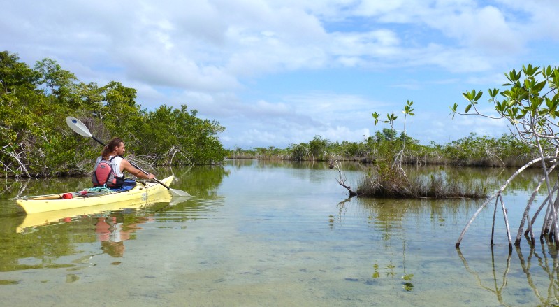 Kayak à Tulum, Mexique