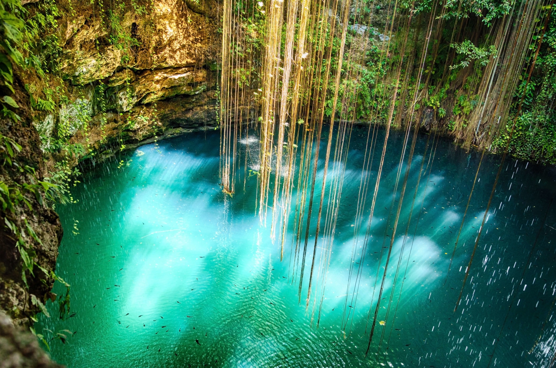 cenote-cover