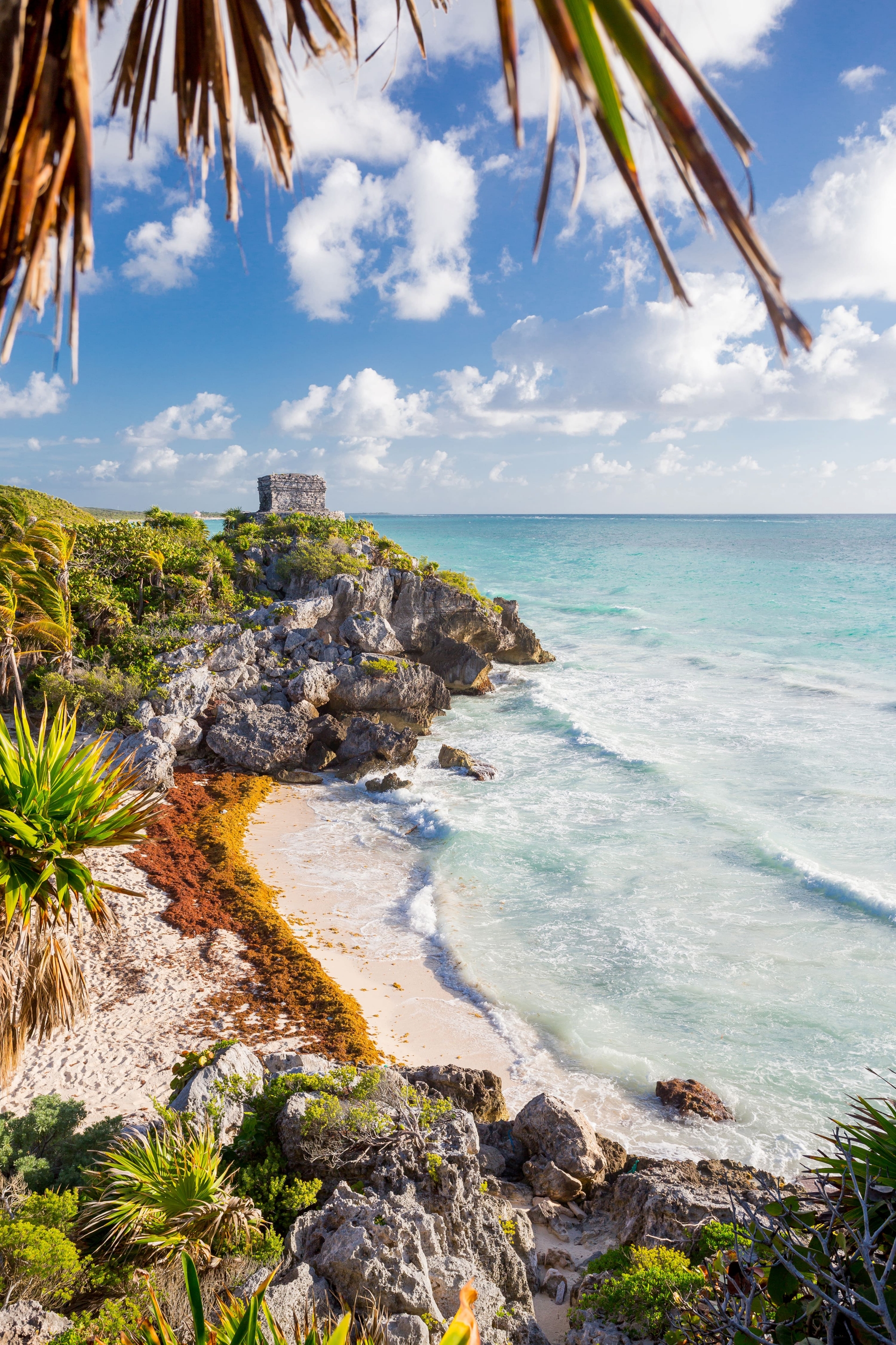 Turtle Beach à Tulum au Mexique