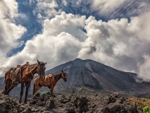 cheveux-volcan-pacaya-guatemala