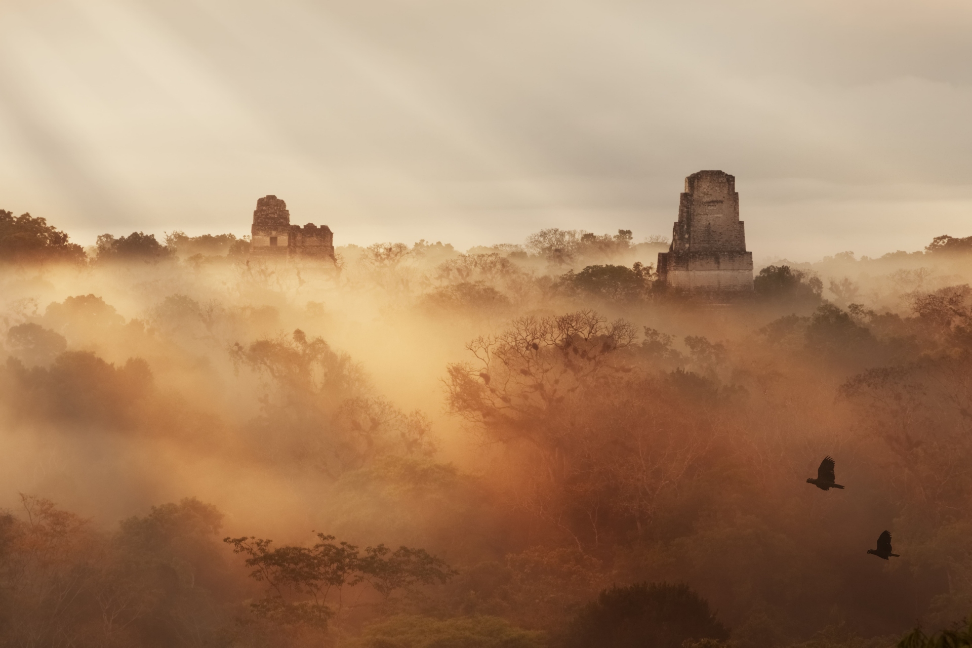 lever-soleil-brume-tikal-guatemala