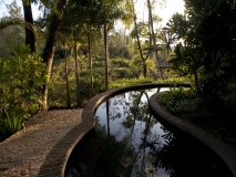 mountain-pine-ridge-reserve-belize