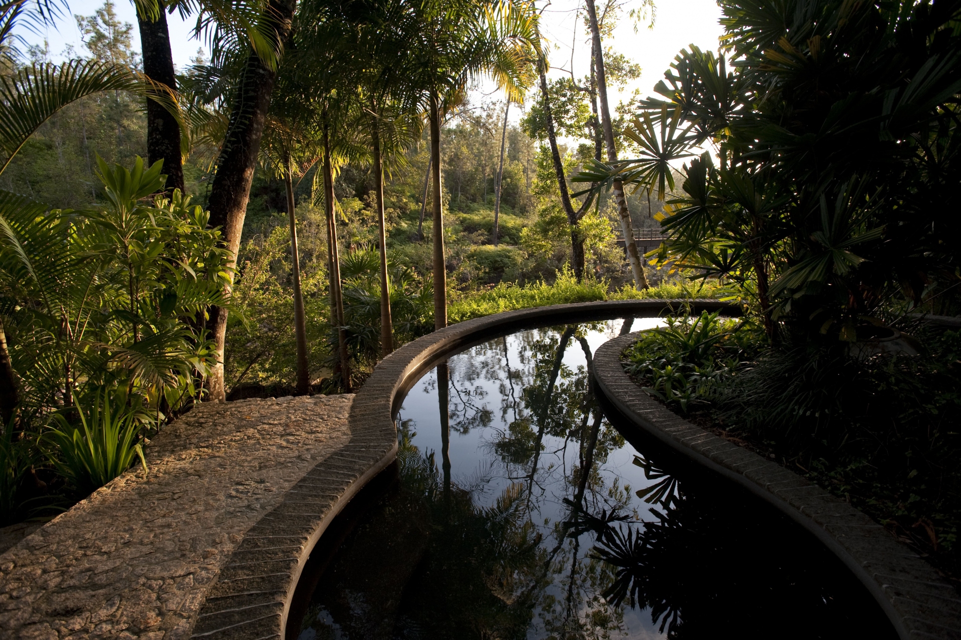 mountain-pine-ridge-reserve-belize