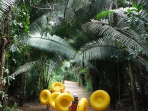 nohoch-cheen-cave-boue-foret-belize