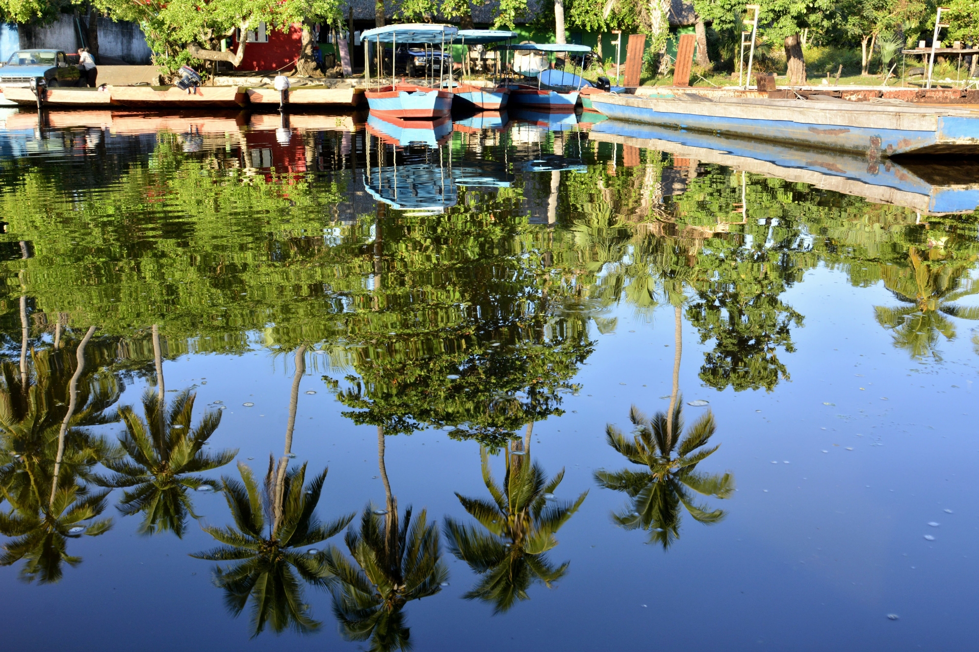 paysages-monterrico-bateau-palmier-pacifique-guatemala