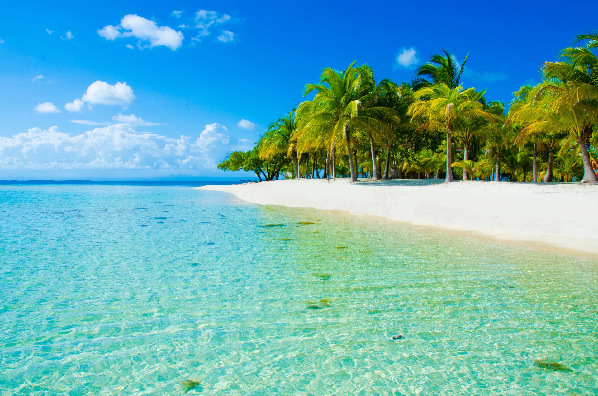 plage-reve-caraibes-palmier-belize
