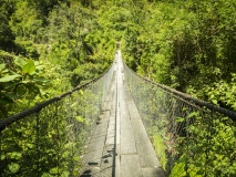 pont-suspendu-jungle-guatemala