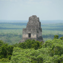 tikal-guatemala