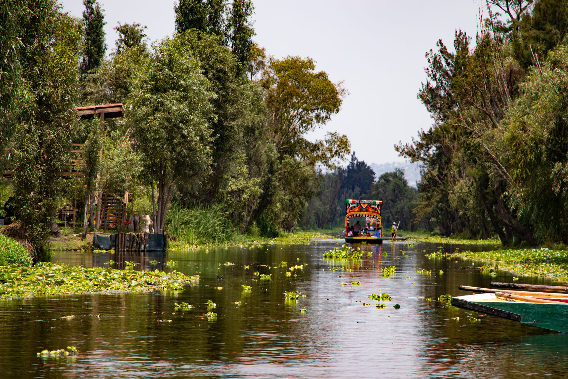 xochimilco-mexique