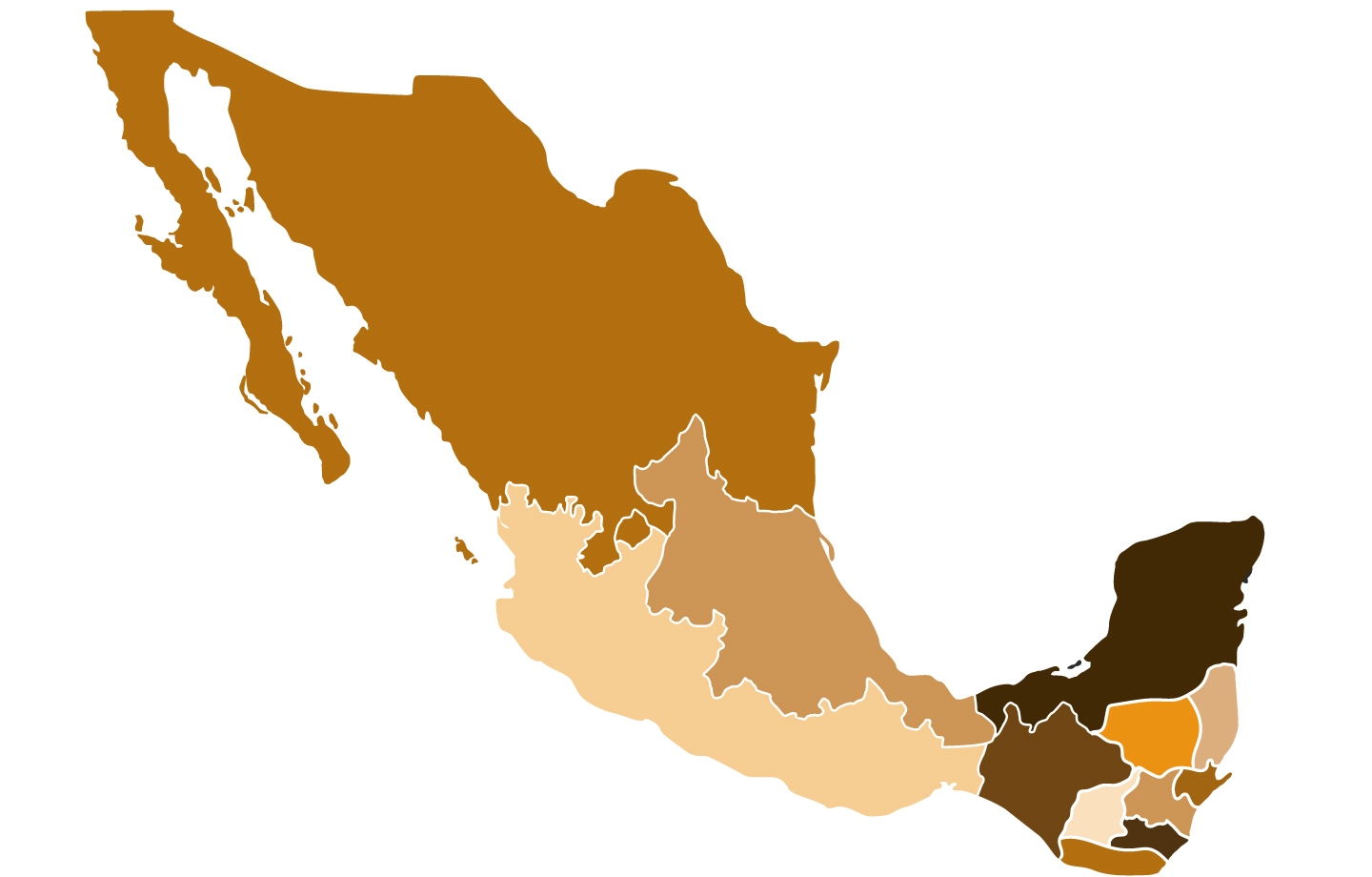 carte-maya_authentique